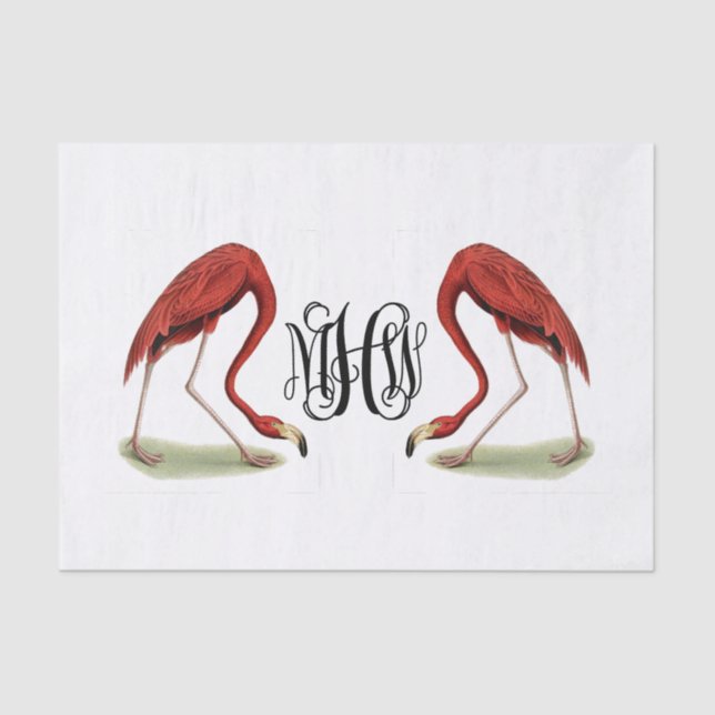 Flamingos Black Vine Script Monogram DIY BG Seidenpapier (Vorderseite)