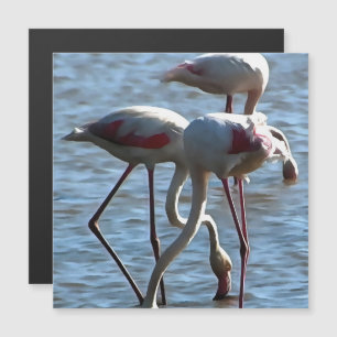 Flamingos Fütternd Zeit Akryllische Malerei Magnetkarte