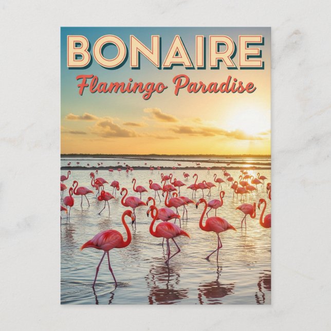 Flamingos in Bonaire in der niederländischen Karib Postkarte (Vorderseite)
