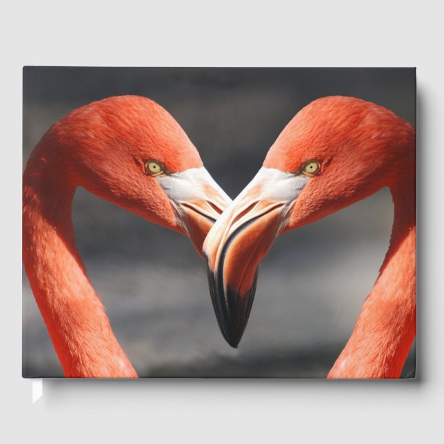 Flamingos in Liebe Gästebuch (Vorderseite)