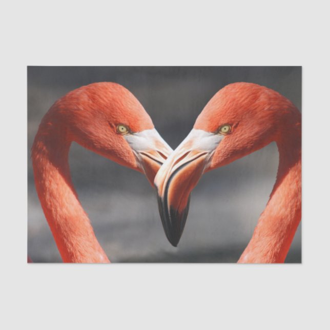 Flamingos in Liebe Seidenpapier (Vorderseite)