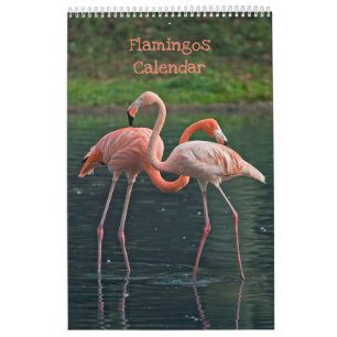 Flamingos Kalender