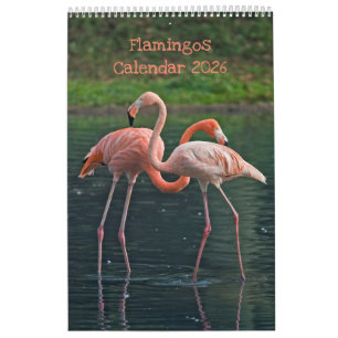 Flamingos-Kalender Kalender