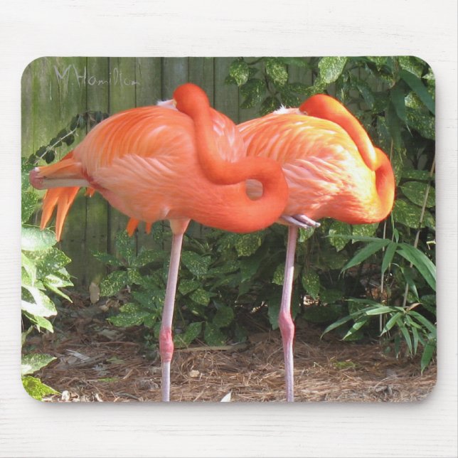 Flamingos Mousepad (Vorne)