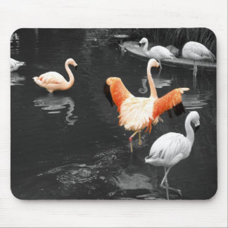 Flamingos Mousepad