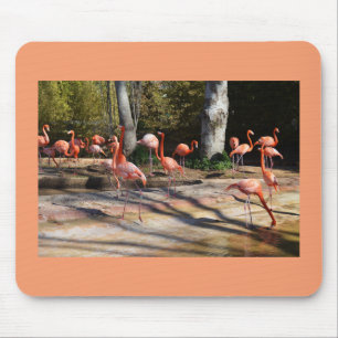 Flamingos Mousepad