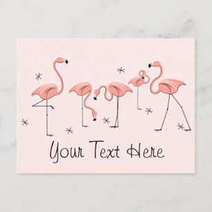 Flamingos Pink Gruppe Text Postkarte