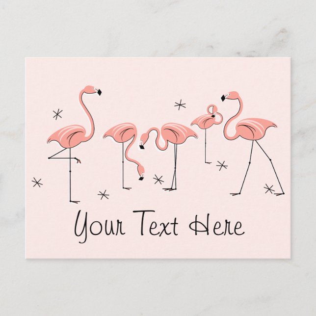 Flamingos Pink Gruppe Text Postkarte (Vorderseite)