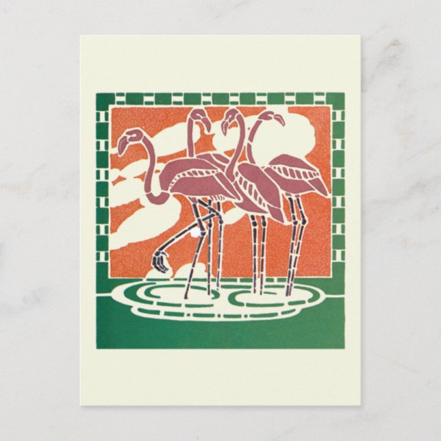 Flamingos Postkarte (Vorderseite)