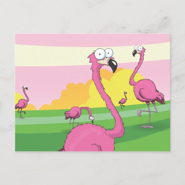 Flamingos Postkarte (Vorderseite)