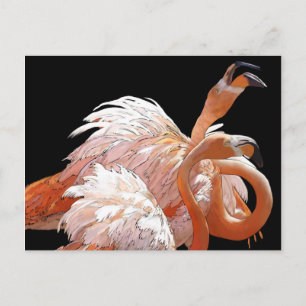 Flamingos Postkarte