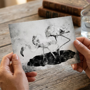 Flamingos Schwarz und Weiß Postkarte