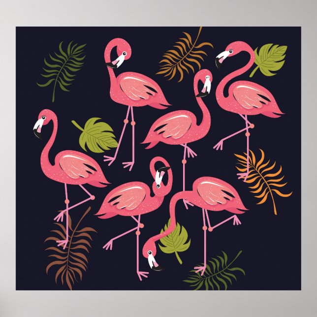 Flamingos Set, Tropenvogel Vintag. Poster (Vorne)