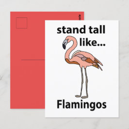 Flamingos Stand groß wie Flamingos Flamingos Flami Postkarte