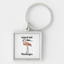 Flamingos Stand groß wie Flamingos Flamingos Flami