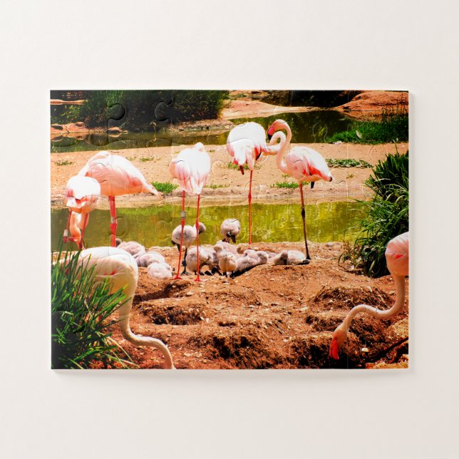 Flamingos und Küken (Horizontal)