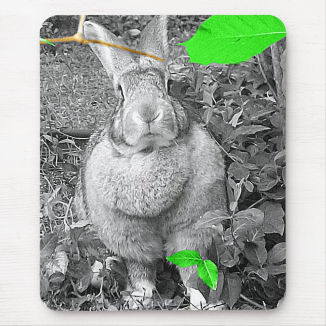 Flämisches riesiges Kaninchen B u. W mit grünem Mousepad (Vorne)