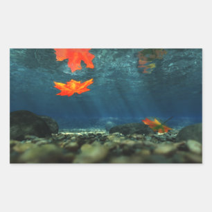 Flamme dans les Stickers de l'Eau