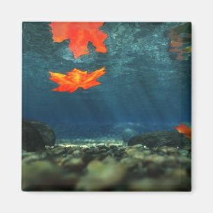 Flamme im Wasser-Magnet Magnet