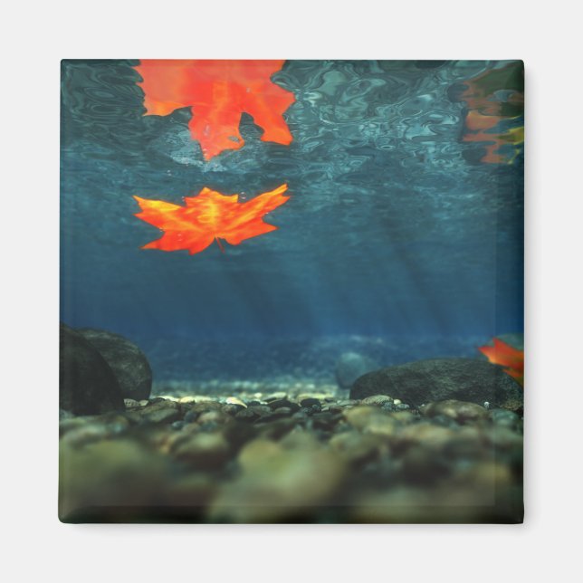 Flamme im Wasser-Magnet Magnet (Vorne)