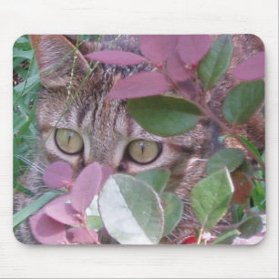 Flammen-Katzenaugen Mousepad