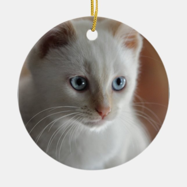 Flammen-Punkt-blaue Augen Keramik Ornament (Vorne)