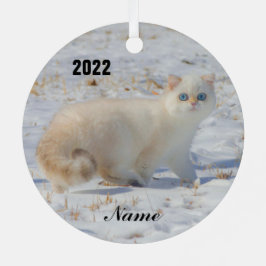 Flammenspitze Katze mit blauen Augen im Schnee Ornament Aus Metall