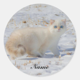 Flammenspitze Katze mit blauen Augen im Schnee Runder Aufkleber
