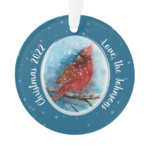 Flammes de neige cardinales de Noël en rouge ou bl