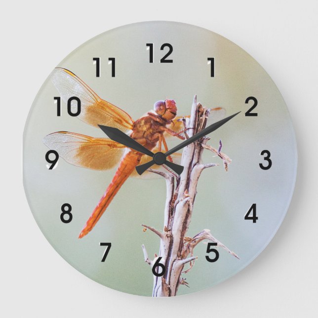 Flammskimmer Dragonfly auf Agave Große Wanduhr (Vorderseite)