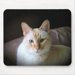 Flammspitze Siamesen Katze mit schönen blauen Aug Mousepad