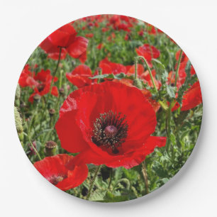 Flandern-Mohnblumen-Pappteller Pappteller
