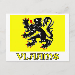 Flandern-Region-Flagge mit Name Postkarte