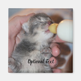 Flasche Füttre neugeborene Rescue Tabby Kitten Magnet