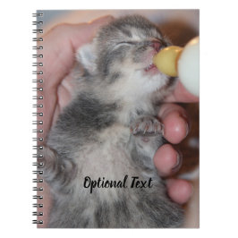 Flasche Füttre neugeborene Rescue Tabby Kitten Notizblock