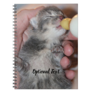 Flasche Füttre neugeborene Rescue Tabby Kitten Notizblock