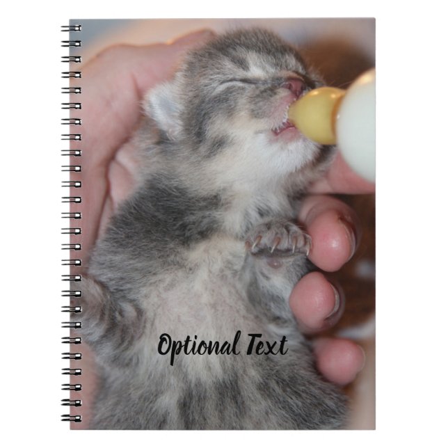 Flasche Füttre neugeborene Rescue Tabby Kitten Notizblock (Vorderseite)