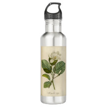 Flasche mit weißem Magnolium