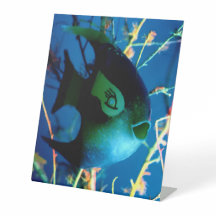 Flaschen Fisch Gibney Das Museum Zazzle
