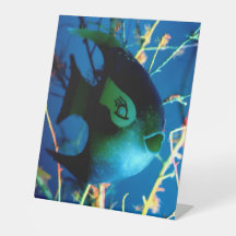 Flaschen Fisch Gibney Das Museum Zazzle