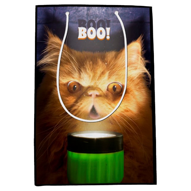 Flaschenlampe Mittlere Geschenktüte (Vorderseite)