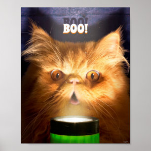 Flaschenlampe Poster