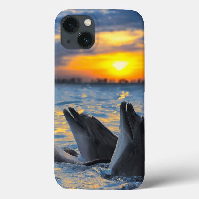 Flaschennadel bei Sonnenuntergang Case-Mate iPhone Hülle (Rückseite)