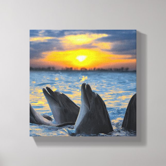 Flaschennadel bei Sonnenuntergang Leinwanddruck (Vorderseite)