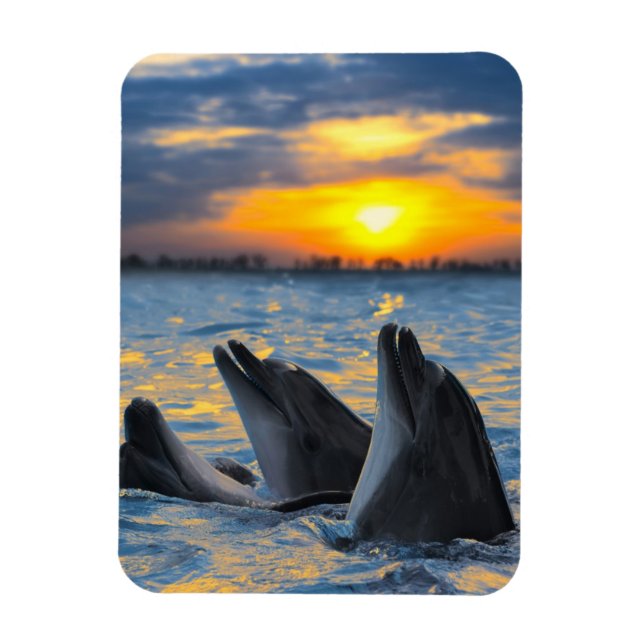 Flaschennadel bei Sonnenuntergang Magnet (Vertikal)