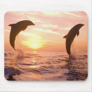 Flaschenose Delphine Tursiops truncatus Mousepad