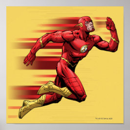 Flash-Ausführung Poster