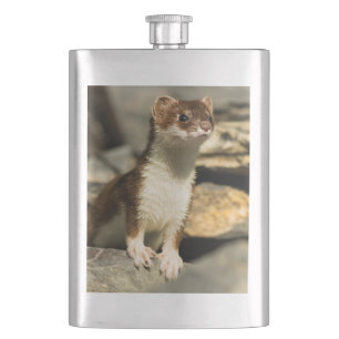 Flasque Alerte Weasel