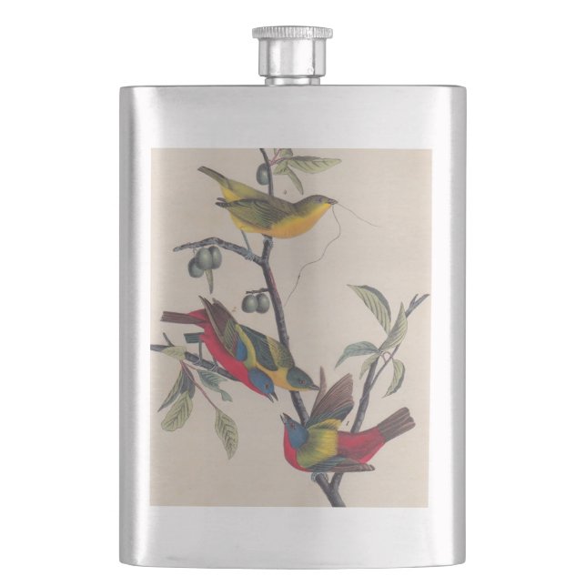 Flasque Audubon Peint Bunting Bird Wildlife (devant)