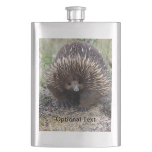 Flasque Australie Echidna Cute Animal Photo
